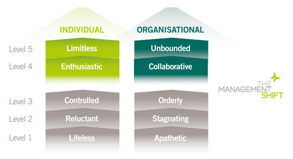What Is the language of conscious leadership?