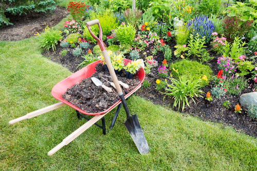 3 Tips for Sustainable Landscaping Around Buildings