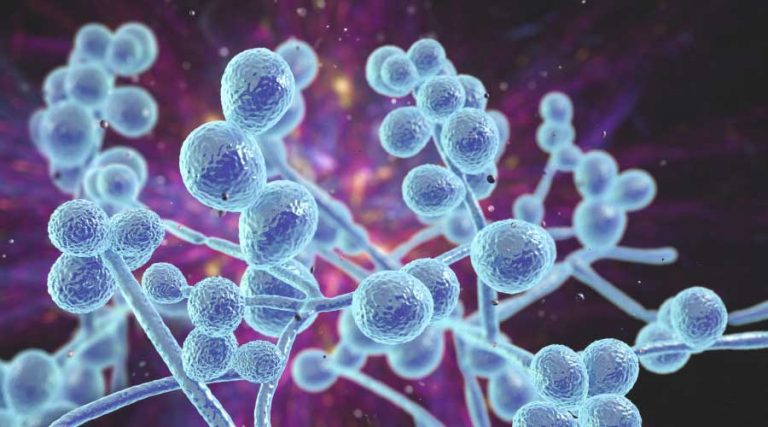 Healthcare Facilities Face Urgent Infection Challenge
