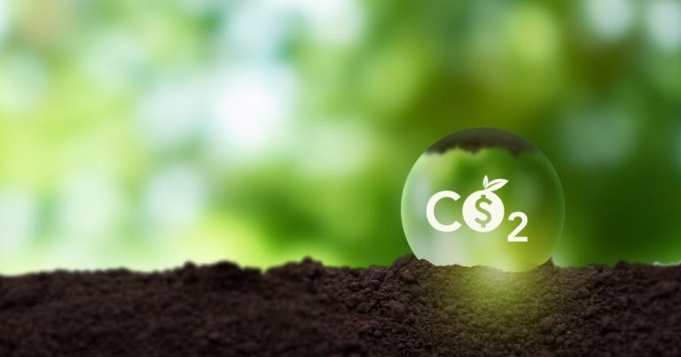 Leading carbon offset integrity bodies are joining forces — but can they boost market standards?