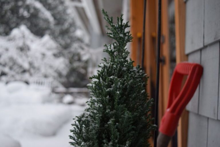 Keeping your employees safe through the winter