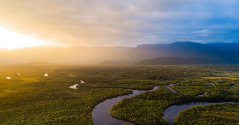 5 common misunderstandings about the EU’s deforestation policy, clarified