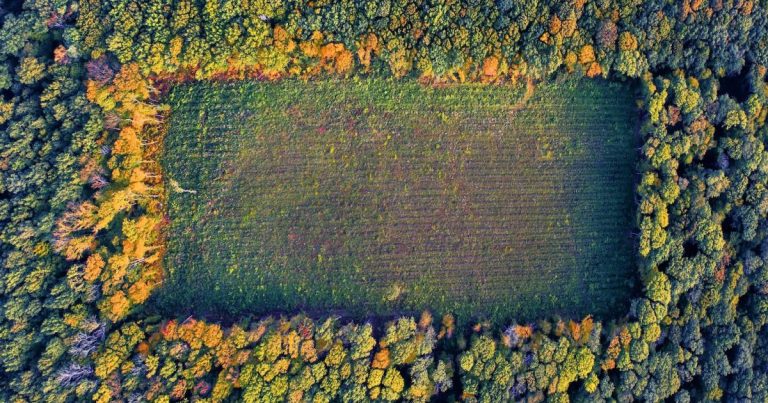 The newest biodiversity reporting standard: what you should know