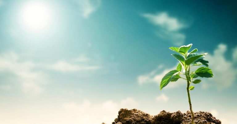 Simplifying sustainability: 4 concepts to power our purpose