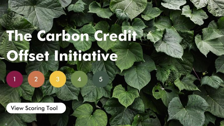 Demystifying carbon offsets vs direct reductions