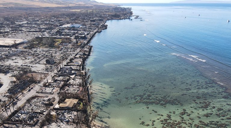 Maui Wildfire: A First-hand Account