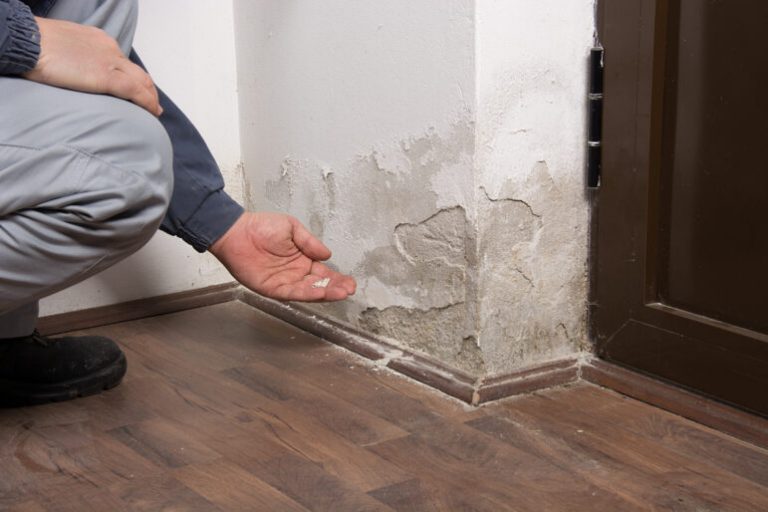 Keeping your building safe and dry