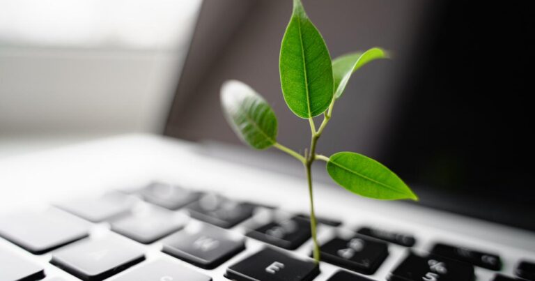 Here are 3 ways to cultivate your sustainability culture