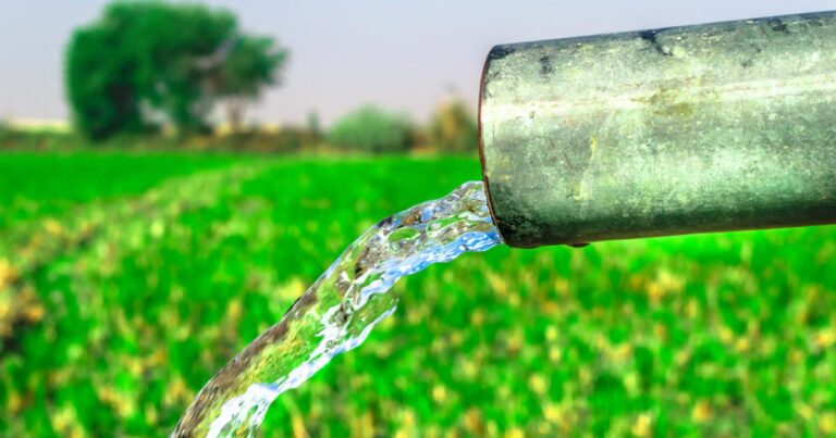 How the food industry is working to protect freshwater ecosystems
