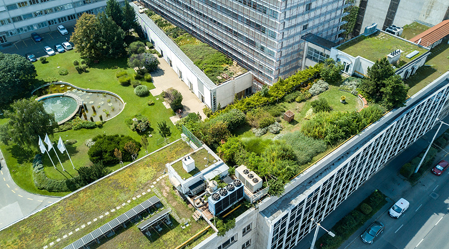 green roof